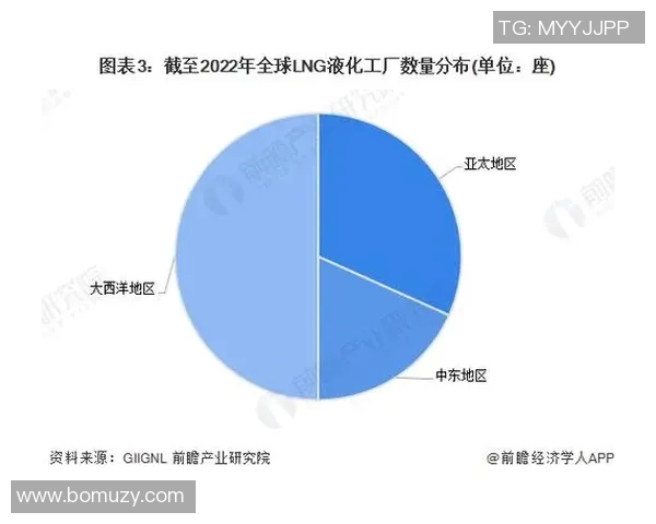 数据分析揭示LNG市场节奏变化及其对未来趋势的影响