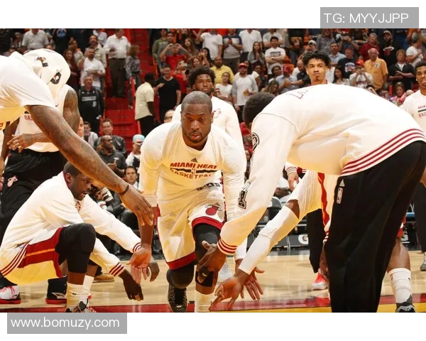 韦德领衔热火对决黄蜂季后赛精彩瞬间回顾与分析