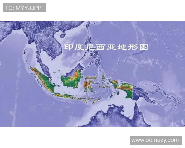 缅甸与越南军力对比分析探讨两国军事战略与发展现状