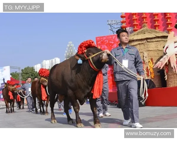 中乙联赛精彩对决淄博队迎战陕西队直播盛况全程呈现 中乙联赛精彩对决淄博队迎战陕西队直播盛况全程呈现