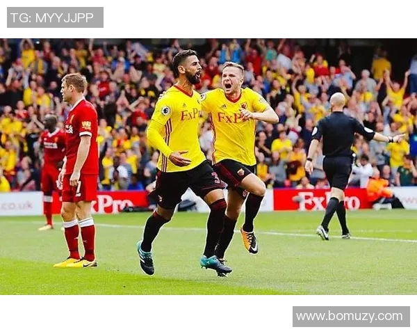 沃特福德与雷丁激战正酣谁能在英冠赛场上笑到最后 沃特福德与雷丁激战正酣谁能在英冠赛场上笑到最后